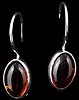 Amber Drop Earring in Amber design