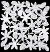 Doilie in Crystal Silver design