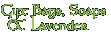 Gift Bags and Soaps