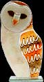 Barn Owl