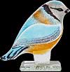Blue Tit