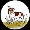 Jack Russell