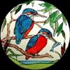Kingfishers