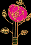 Mackintosh Pink Rose