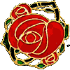 Mackintosh Rose