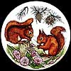 Red Squirrels