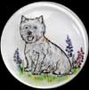 Westies
